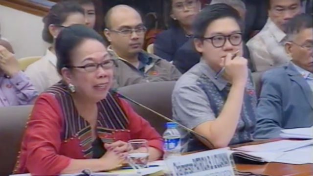 Senate panel OKs additional P1.68 B in 2018 CHED budget