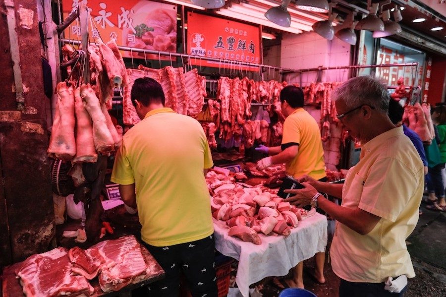 Hong Kong to cull 4,700 pigs after second swine fever case found