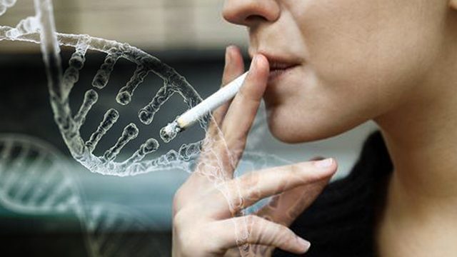 Smoking by pregnant moms changes fetal DNA