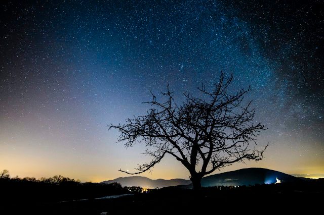 Can’t see the Milky Way at night? Blame artificial lights – study