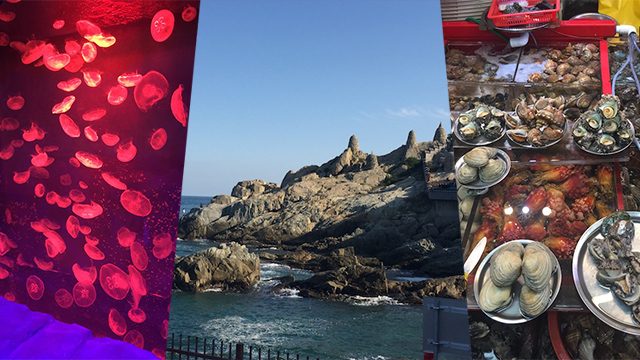 Trip to Busan: Zombie-free, but still a fantastic experience