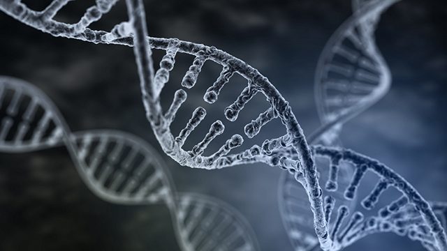 Dua hal mengejutkan tentang DNA kita