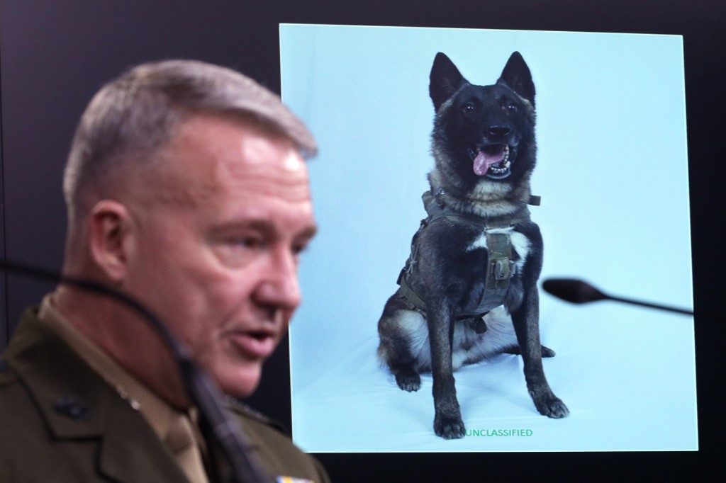 HERO. US Marine Corps General Kenneth McKenzie, commander of US Central Command, speaks as a picture of the canine that was part of the operation, is on display during a press briefing October 30, 2019 at the Pentagon in Arlington, Virginia. Photo by Alex Wong/Getty Images/AFP  
