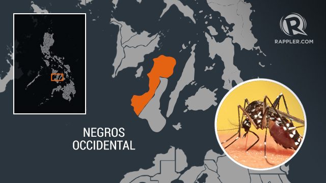 Dengue cases approach epidemic threshold in Negros Occidental