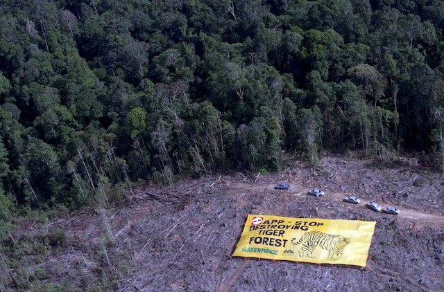 Greenpeace rebukes paper giant APP over farmer’s death