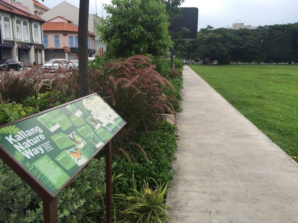 FUN FACTS. Located in Kallang, near the National Stadium, this Nature Way path contains trivia about different species of butterflies and birds. Photo by Shaira Panela 