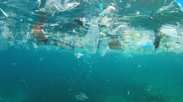 Mediterranean could become a ‘sea of plastic’ – WWF