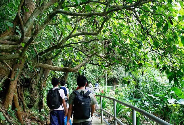 EASY WALK. The way to Majayjay Falls is a convenient walk along a concrete path. Photo by Geejay Gelogo