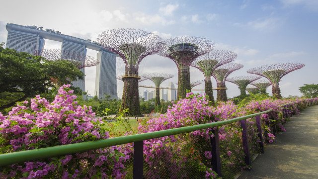 GREEN. Around 90% of buildings in Singapore comply with the city-state's green building code, according to the International Finance Corporation 