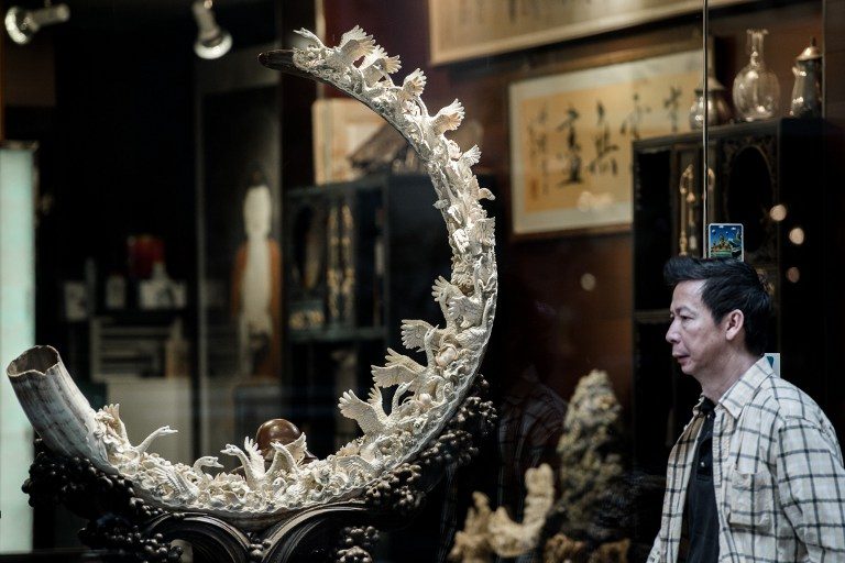China to ban ivory trade by end of 2017 – media