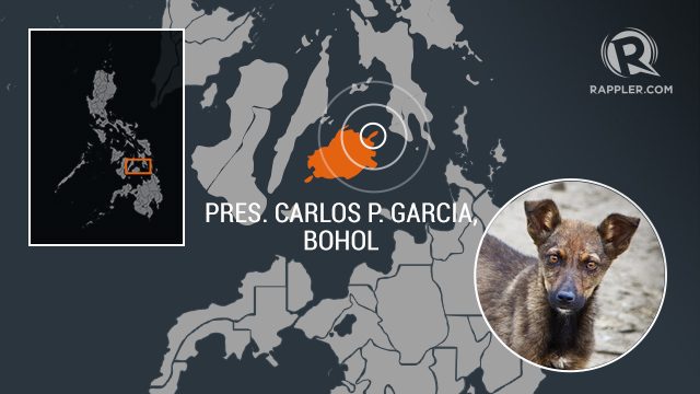 Kota Bohol mendeklarasikan zona bebas rabies di PH