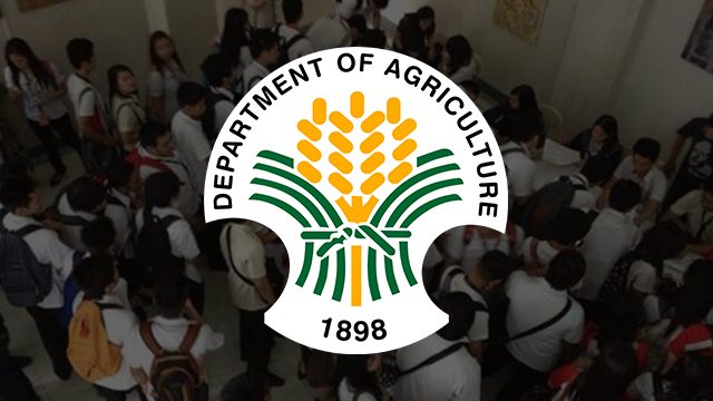 DA to students: Apply for agri scholarships