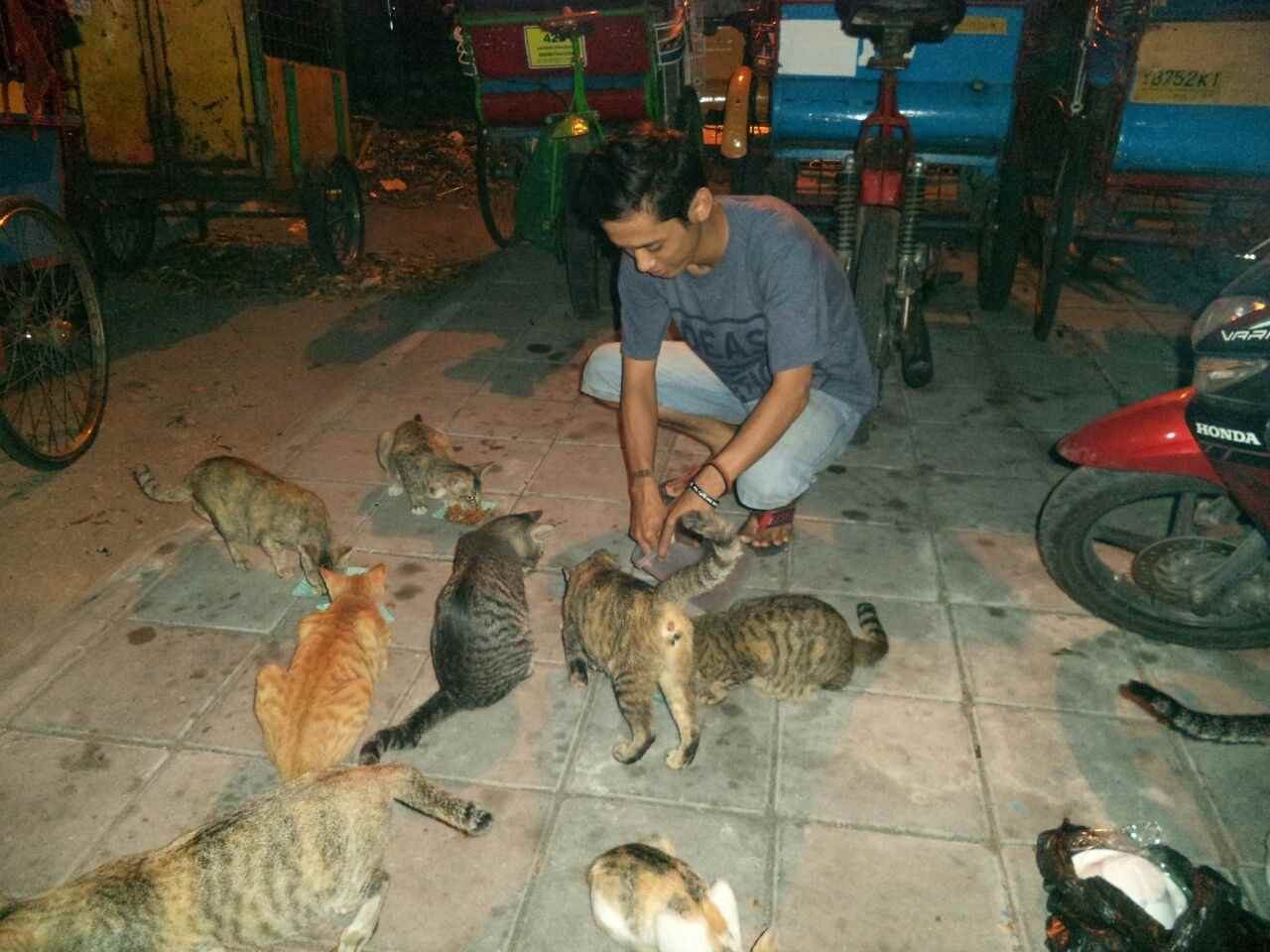 Fatkhurrahman bersama kucing-kucing peliharaannya. Foto dokumentasi pribadi Fatkhurrahman. 