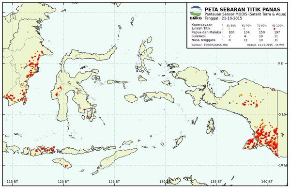 BMKG deteksi 40 titik kebakaran hutan di Papua Barat