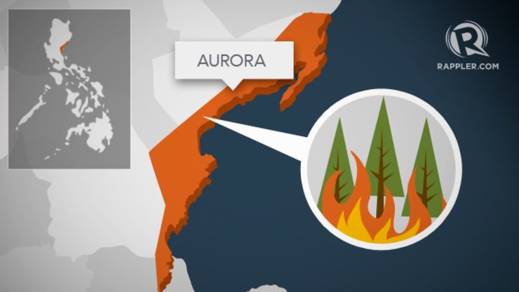 Fire razes 50-hectare forest area in Aurora