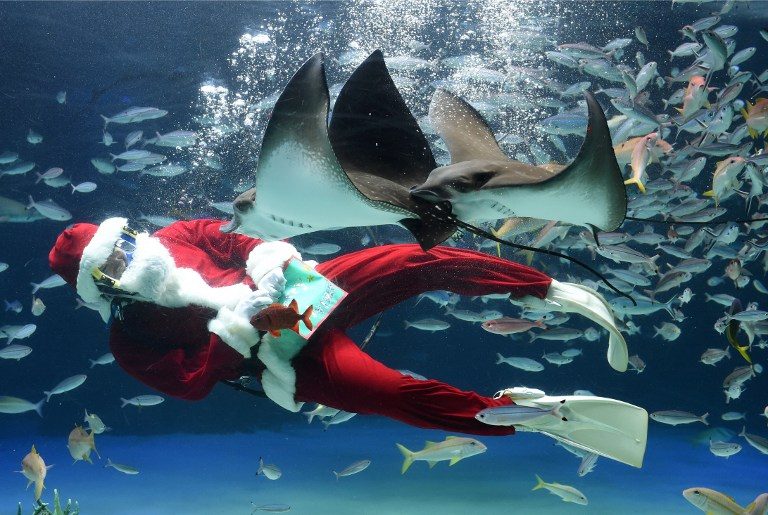 Scuba-diving Santa spreads Christmas cheer in Japan