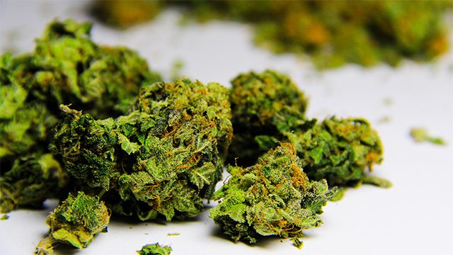 Customs seizes P1.4M worth of marijuana hidden in snack packs