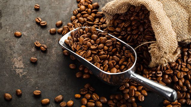 Lanao del Sur pilots coffee bean farming in the province
