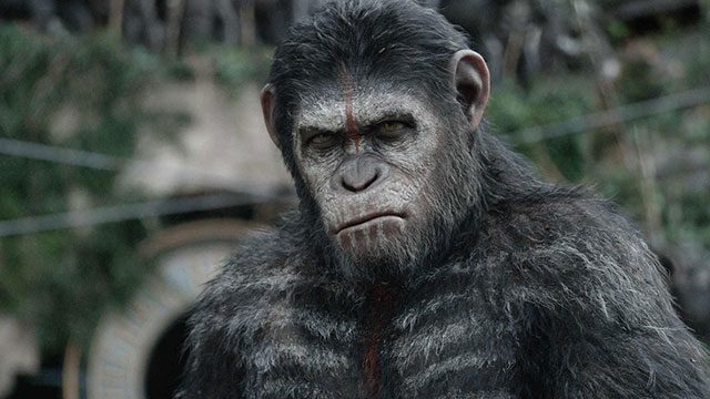 ‘Planet of Apes’ sequel swings in to rave reviews