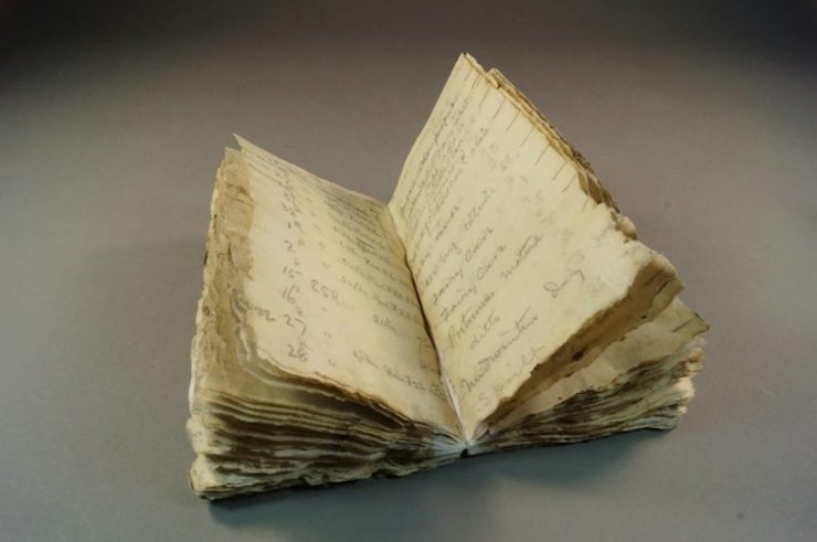 Defrosted: Antarctic explorer’s century-old notebook uncovered