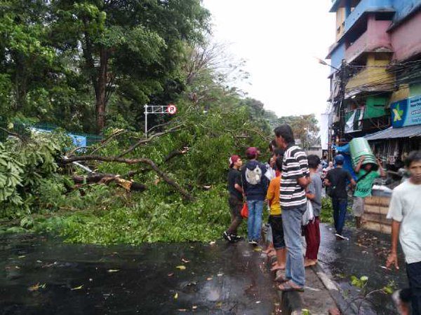FOTO: Hujan deras, pohon dan bangunan roboh di Bogor