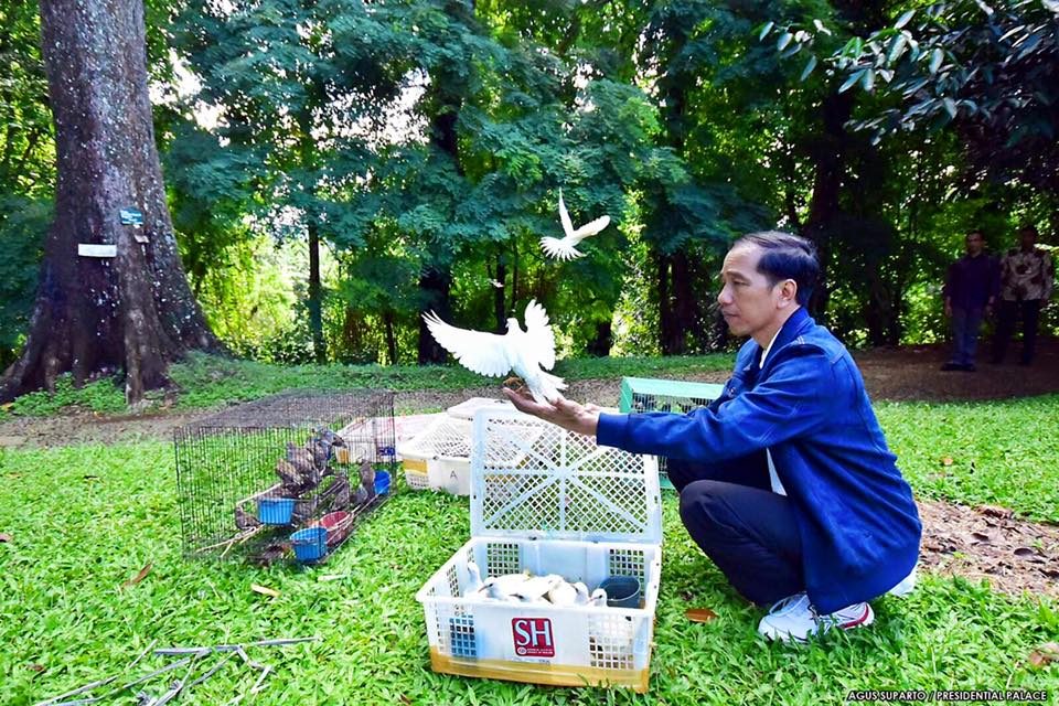 Netizen peringatkan Jokowi tata cara melepas burung