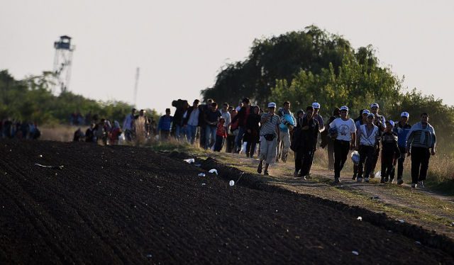 Migrants breach Hungary police lines as army prepares for action