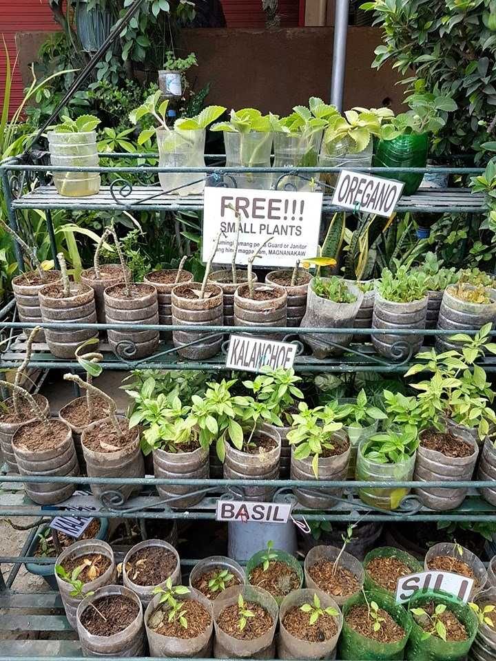 Many Rappler followers were inspired by this initiative. Photo by Happy Green Thumb 