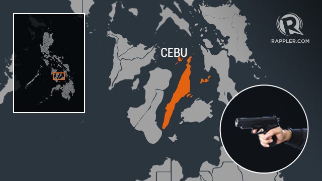 Cebu farmer shot dead at home