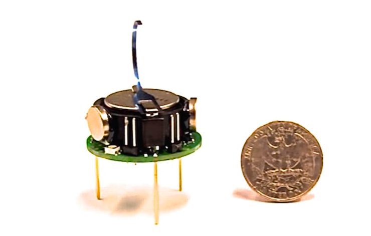 SCALE. A Kilobot is about the size of a US quarter. Screengrab from Harvard University Self-organizing Systems Research Group video