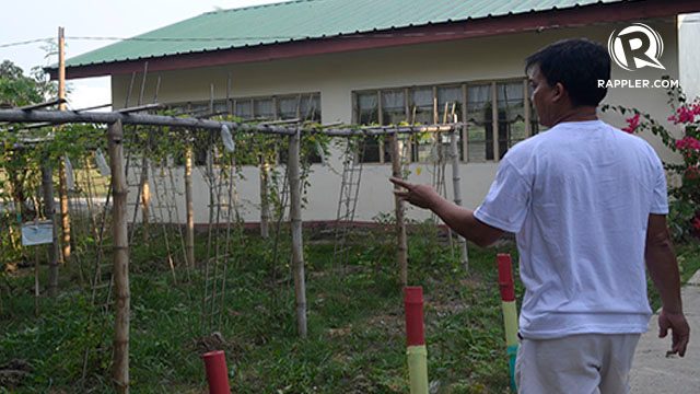 SMALL LOT. Ferrer was able to turn an empty lot into an organic farm for the school. Photo by Jodesz Gavilan/Rappler 