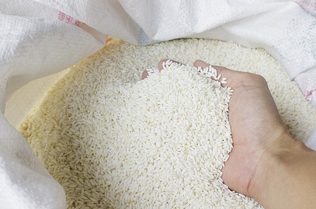Pemerintah akan mendukung petani di tengah upaya untuk menghapus kuota impor beras