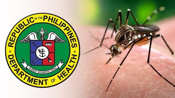 Report Suspected Zika Virus Cases Within 24 Hours Doh 