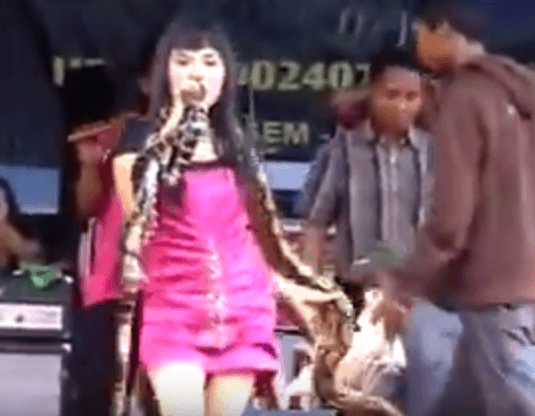 SINGING WITH A SNAKE. A previous performance shows Irma Bule dancing with a snake. Screenshot from Apalah Apalah/Youtube  