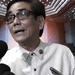 [OPINION] De Vera’s ouster from the House of Representatives is unconstitutional