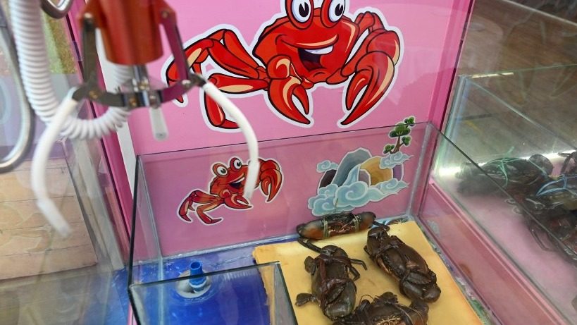 Singapore restaurant ‘grab-a-crab’ machine sparks uproar