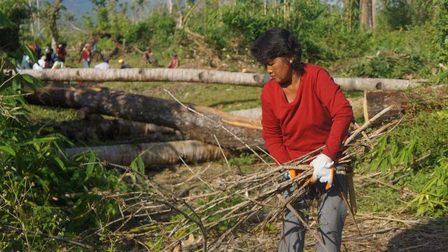 IN NUMBERS: Helping farmers, fishers 2 years after Haiyan