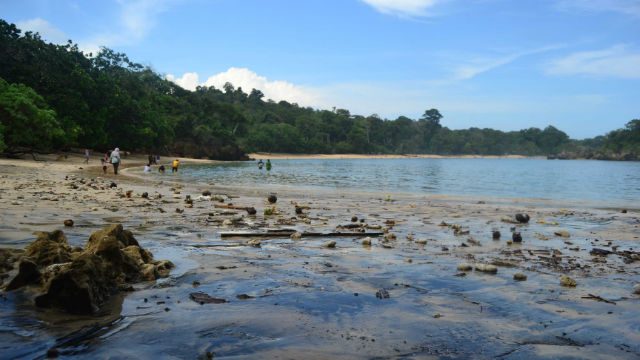 Suhu muka laut naik, terumbu karang Malang terancam rusak