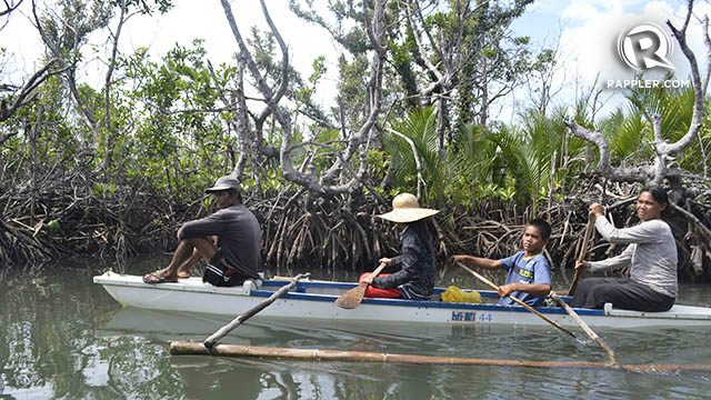 When life depends on mangroves