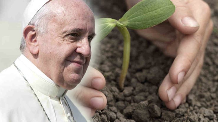 Pope Francis, the climate activist