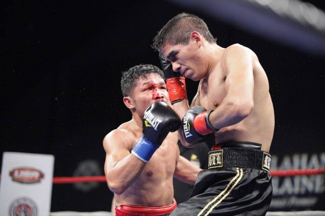 Filipino boxer Michael Farenas scores bloody KO in comeback fight