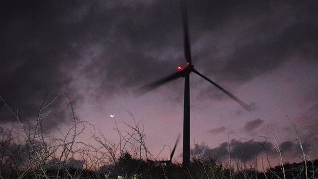 New wind farms to help bridge summer power shortage – WWF