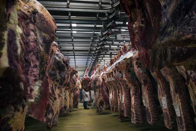 Persoalkan harga daging sapi, DPR akan panggil Menteri Pertanian