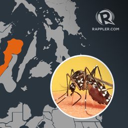 24 dengue deaths reported in Negros Occidental since January 2016