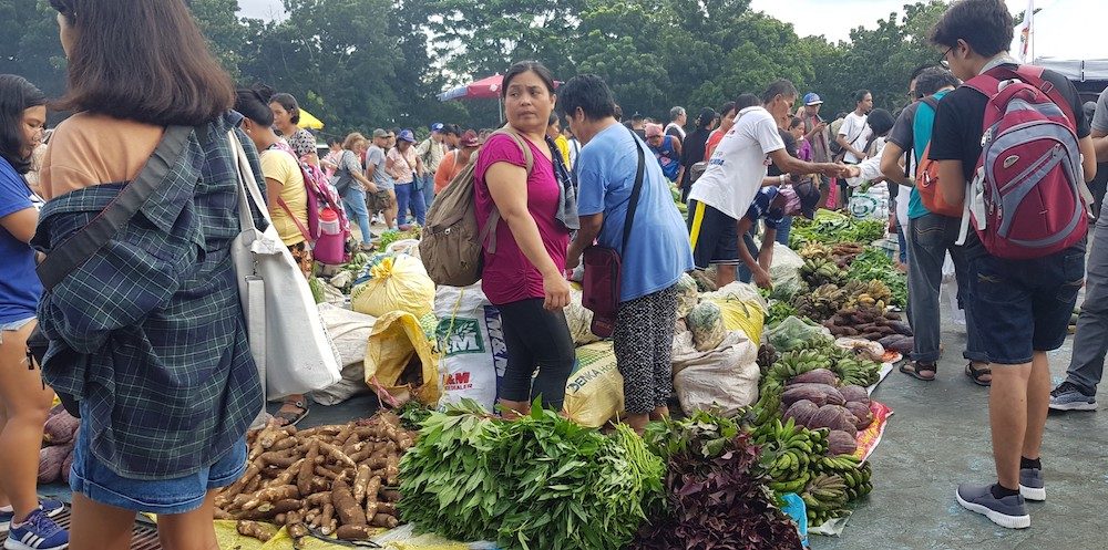 FRUIT OF THE LAND. Farmers struggling with low prices for their produce sell vegetables in an event in Quezon City. Photo by Jaia Yap/Rappler 