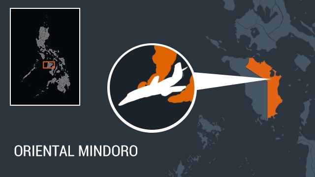 2 hurt as light plane crash lands off Oriental Mindoro
