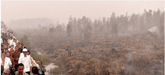 Indonesia terima bantuan dari 4 negara untuk padamkan kebakaran hutan