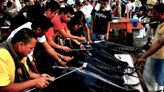 Decent jobs? The case of Filipino handline fishermen