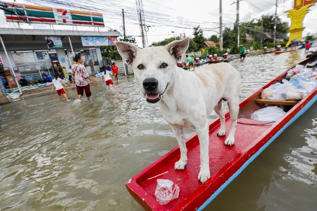 Thailand’s northeast inundated after tropical storm