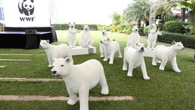 SM Aura Premier creates awareness on climate change this summer with polar bear exhibit